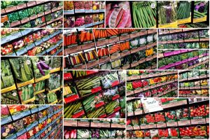 Colourful display of vegetable and flower seed packets available at Downham Garden Centre, near King's Lynn. The wide selection includes various seed options for home gardeners from nearby areas such as Ely, Bexwell, Denver, and Watlington, catering to both novice and experienced gardeners. The display features seeds for popular vegetables like carrots, beans, and tomatoes, as well as a vibrant assortment of flower seeds