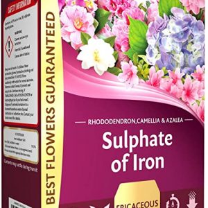 Westland Sulphate Of Iron 1.5kg Box